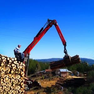 Grúa Forestal Q180L80 HPLS