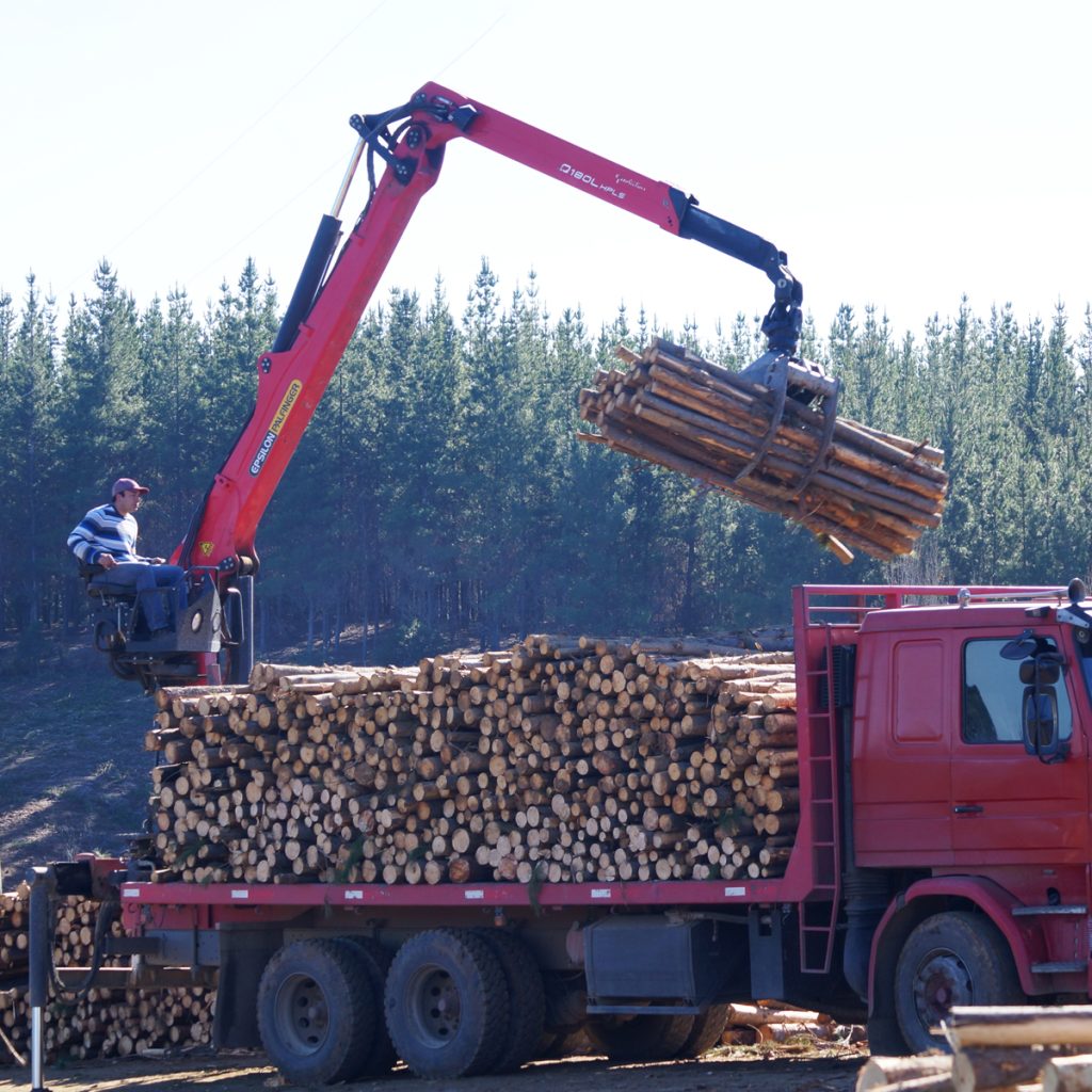 Simma Grupo Empresas