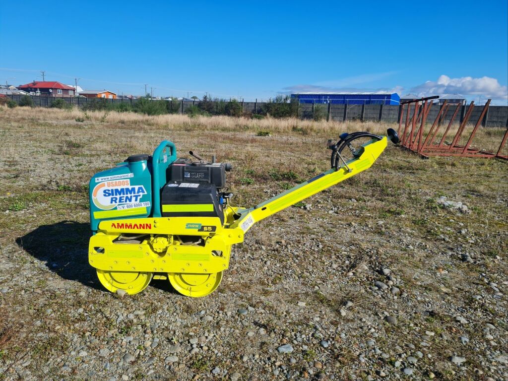 Placas Ammann