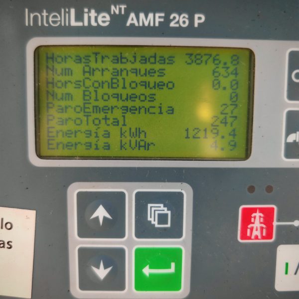Generador Pramac GSW15Y - Imagen 4